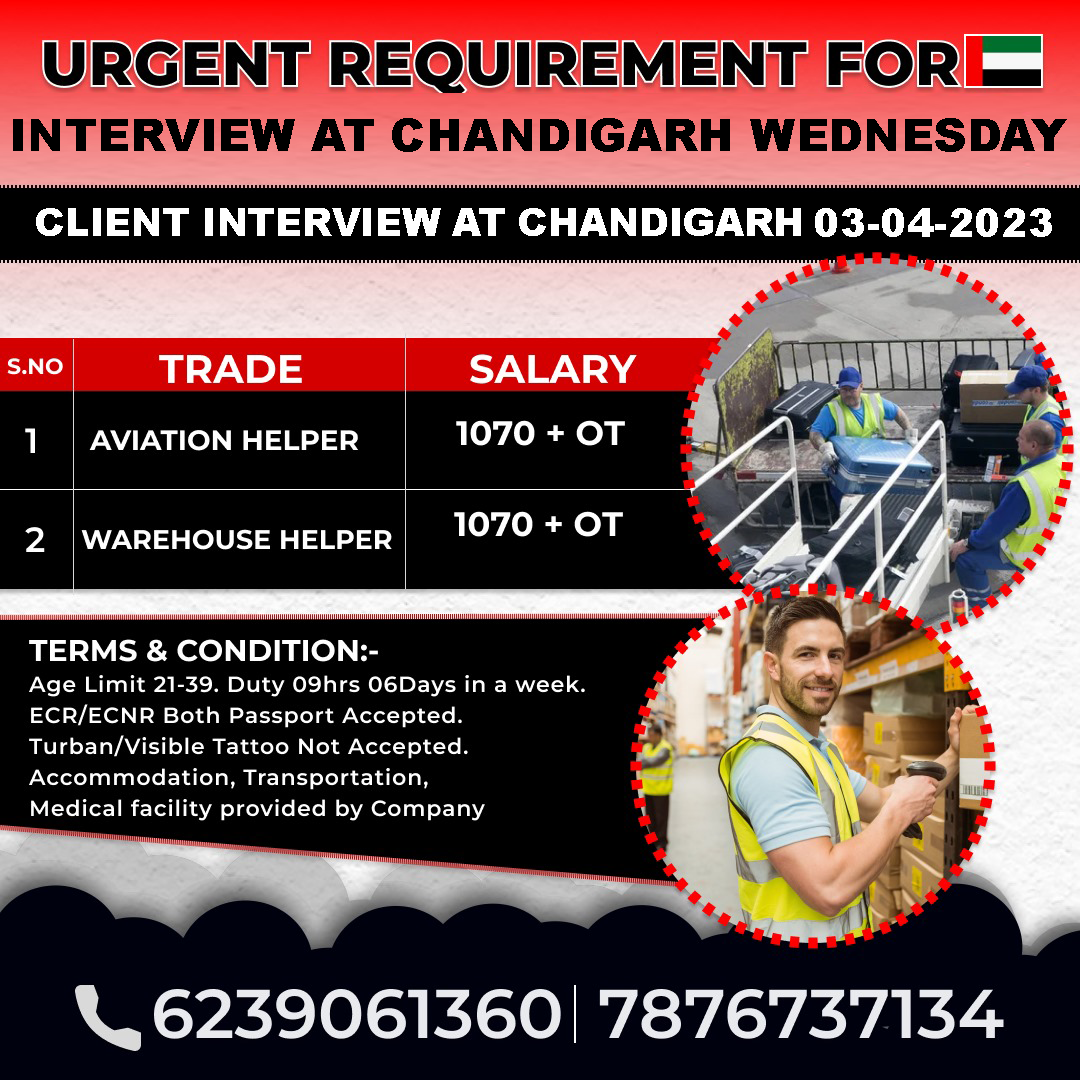 Dubai interview Jobs in Chandigarh